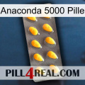 Anaconda 5000 Pill cialis1
